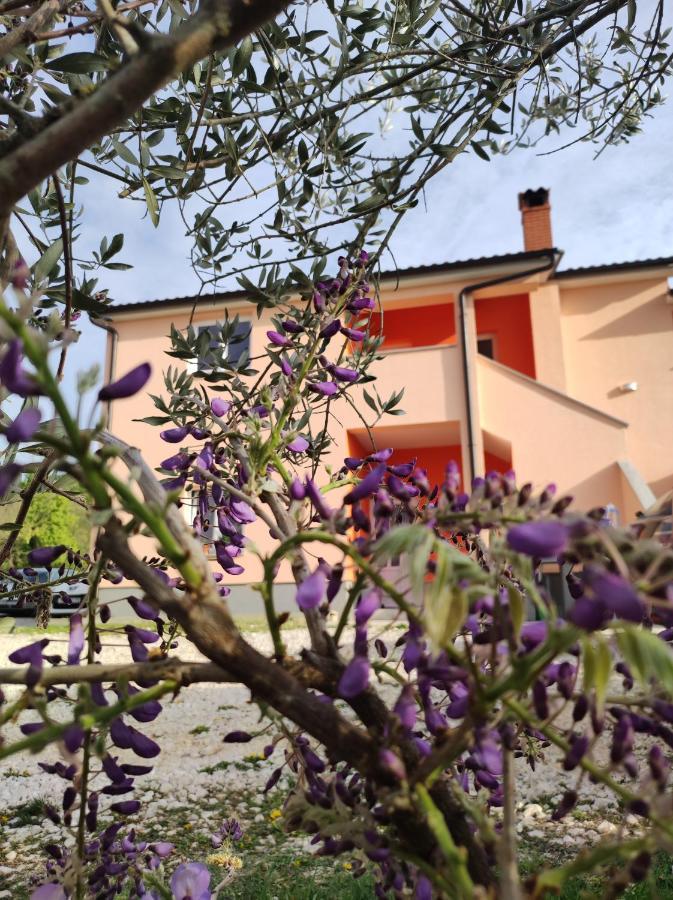 Apartman Tramonto Motovun Exterior foto